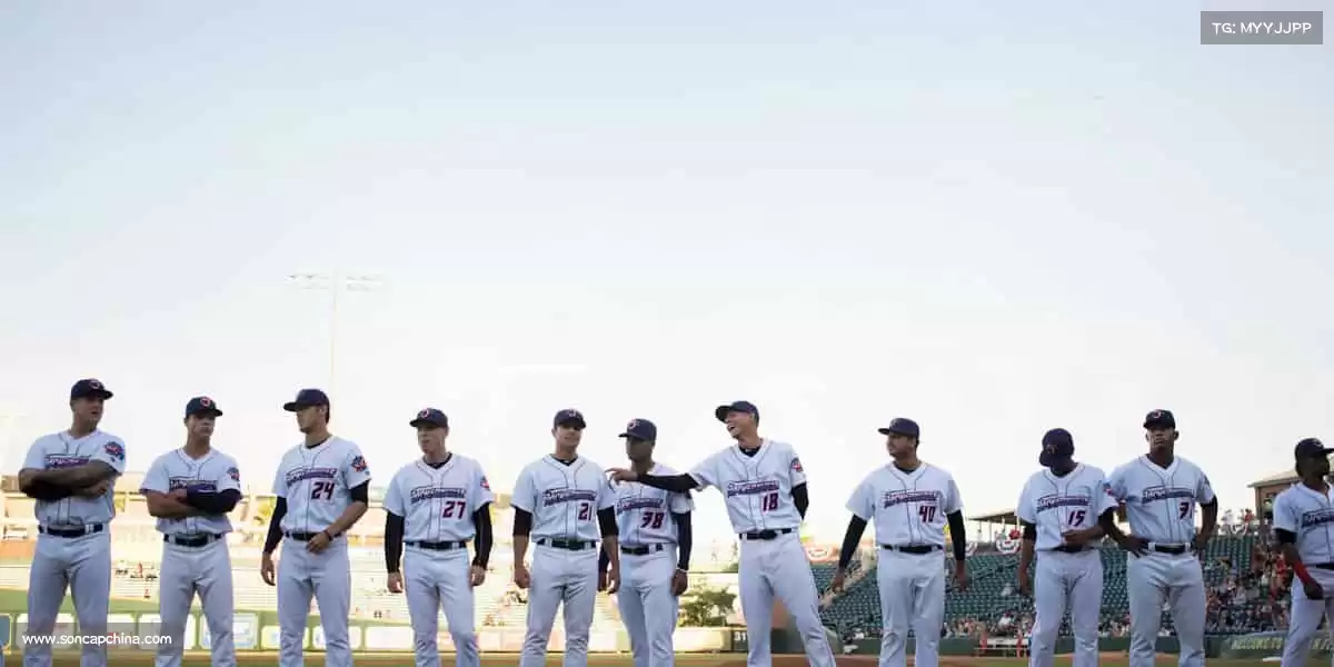 为什么选择我们